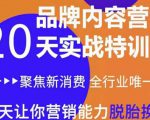 《内容营销实操特训营》20天让你营销能力脱胎换骨（价值3999）-互联网资源大全网