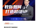 教你如何打造超级IP,抖音流量红利新机遇(价值980元)-互联网资源大全网