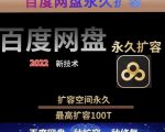 百度网盘无限扩容技术，外面卖399的，无论自己用还是用做引流都可以-互联网资源大全网