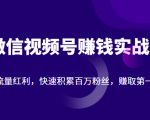 微信视频号赚钱实战:抓住流量红利,快速积累百万粉丝,赚取你的第一桶金-互联网资源大全网