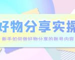 好物分享实操:新手如何做好物分享的账号内容,实操教学-互联网资源大全网