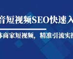 抖音短视频Seo搜索排名优化新手快速入门教程,实体商家短视频,精准引流实操课-互联网资源大全网