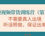 视频带货训练营,不需要真人出境,听话照做,保证出单(第11期)-第一资源库