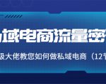 私域电商流量密码:千万级大佬教您如何做私域电商(12节课)-互联网资源大全网