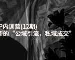 新媒体IP内训营(12期),一套全新的“公域引流,私域成交”IP打法,直接带走-互联网资源大全网