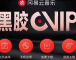 网易云音乐撸黑胶年卡及变现方法，收益可无限放大-互联网资源大全网