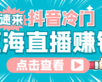 最新抖音冷门简单的蓝海直播赚钱玩法，流量大知道的人少，可做到全无人直播-互联网资源大全网