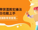 最新抖音冷门简单的蓝海直播赚钱玩法，流量大知道的人少，可做到全无人直播-互联网资源大全网