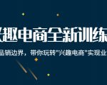 兴趣电商全新训练营:打破品销边界,带你玩转“兴趣电商“实现业务增长-互联网资源大全网