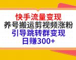 快手流量变现,养号搬运剪视频涨粉,引导跳转群变现日赚300+-互联网资源大全网