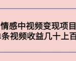 副业孵化营第5期:抖音情感中视频变现项目孵化 单条视频收益几十上百-第一资源库