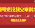 视频号短视频文案训练营:0基础小白如何建立视频号,上热门,能卖货!-互联网资源大全网