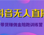 抖音无人直播带货赚佣金陪跑训练营(价值6980元)-互联网资源大全网