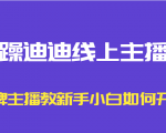 暴躁迪迪线上主播课,金牌主播教新手小白如何开播-互联网资源大全网