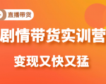 《剧情带货实训营》目前最好的直播带货方式，变起现来是又快又猛（价值980元）-互联网资源大全网