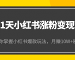 21天小红书涨粉变现营(第4期):带你掌握小红书爆款玩法,月赚10W+秘密-互联网资源大全网