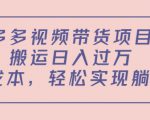 多多视频带货项目,搬运日入过万,0成本,轻松实现躺赚(教程+软件)-互联网资源大全网