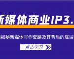 新媒体商业IP3.0,全面揭秘新媒体写作套路及其背后的底层逻辑(价值1299元)-互联网资源大全网