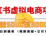 小红书虚拟电商项目:从小白到精英 月收益5000到30000 (视频课程+交付手册)-互联网资源大全网