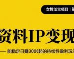 资料IP变现,能稳定日赚3000起的持续性盈利玩法-互联网资源大全网