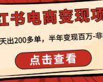 顽石·小红‬书电商变现项目，实测当天出200多单，半年变现百万，非常稳定-互联网资源大全网