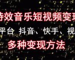 黄岛主《粒子特效音乐短视频变现项目》主攻平台抖音、快手、视频号多种变现方法-互联网资源大全网