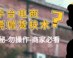 外面收费2980的全平台电商白嫖撸货技术(仅揭秘勿操作-商家防范必看)-互联网资源大全网