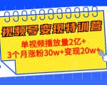21天视频号变现特训营:单视频播放量2亿+3个月涨粉30w+变现20w+(第14期)-互联网资源大全网