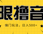 抖音直播无限撸音浪，简单可复制，偏门玩法，日入500+【视频教程】-互联网资源大全网