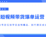 2023短视频带货爆单运营,从账号定位到学会选预爆品,到代理完成出单(价值1250元)-互联网资源大全网