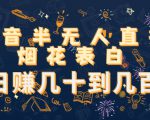 抖音半无人直播烟花表白，日赚几十到几百（教程+视频模板素材）-互联网资源大全网