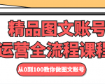 精品图文账号运营全流程课程 从0到100教你做图文账号-互联网资源大全网