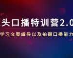 镜头口播特训营2.0版,学习文案编导以及拍摄口播能力(50节课时)-互联网资源大全网