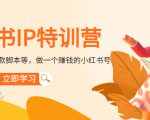 小红书IP特训营:从搭建-制作-爆款脚本等等,做一个赚钱的小红书号-互联网资源大全网