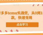 跨境拼多多temu实战营,从0到1打造爆款,快速变现-互联网资源大全网