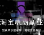 蓝Sir派·淘宝短视频快速起店,替代传统搜索方式,学会做一个不一样的淘宝店-互联网资源大全网