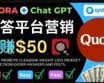 免费推广Clickbank热销商品，每单25.07美元，日赚50美元以上-互联网资源大全网