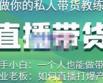 硬核传媒·直播带货(私人教练),实操实战教学,通俗易懂,学完后新手小白一个人也能做带货-互联网资源大全网