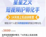 瑶瑶·自然流短视频IP孵化第二期，14天线上实战训练营，赋能100个人成为有数据能赚钱的独立IP孵化手-互联网资源大全网
