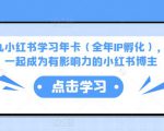 厦九九小红书学习年卡(全年IP孵化),沉浸式学习,一起成为有影响力的小红书博主-互联网资源大全网