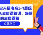 大圣淘宝天猫电商1-7层级盈利增长底层逻辑课，爆款的底层逻辑-互联网资源大全网