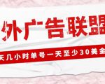 外面收费1980的最新国外LEAD广告联盟搬砖项目，单号一天至少30美金【详细玩法教程】-互联网资源大全网