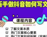 新手做抖音如何写文案，手把手实操如何拆解热门文案-互联网资源大全网