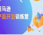亚马逊产品开发训练营,能爆单的产品开发方法,助你突出重围-互联网资源大全网