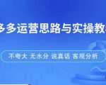 拼多多店铺运营思路与实操教程，快速学会拼多多开店和运营，少踩坑，多盈利-互联网资源大全网