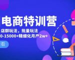 美团电商特训营:美团·店群玩法,无脑铺货月产出6000-15000+精细化月产2w+-互联网资源大全网