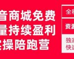 抖音商城搜索持续盈利陪跑成长营,抖音商城搜索从0-1、从1到10的全面解决方案-互联网资源大全网