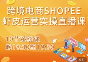 跨境电商Shopee虾皮运营实操直播课，从零开始学，入门到精通（10节系统课）-互联网资源大全网