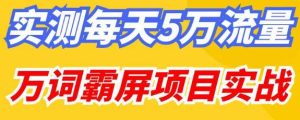 百度万词霸屏实操项目引流课,30天霸屏10万关键词-互联网资源大全网