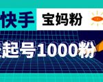 抖音快手三天起号涨粉1000宝妈粉丝的核心方法【详细玩法教程】-第一资源库